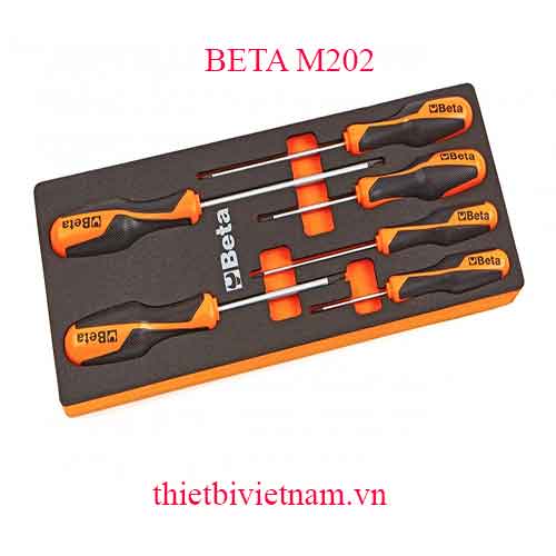 6 TOOLS IN SOFT THERMOFORMED BETA MODEL M202