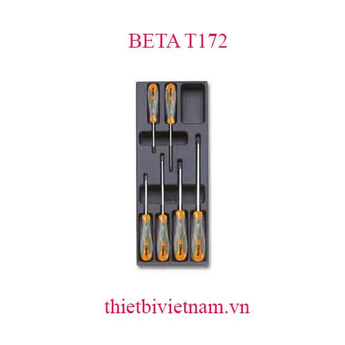 6 TOOLS IN THERMOFORMED BETA MODEL T172