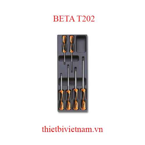 6 TOOLS IN THERMOFORMED BETA MODEL T202