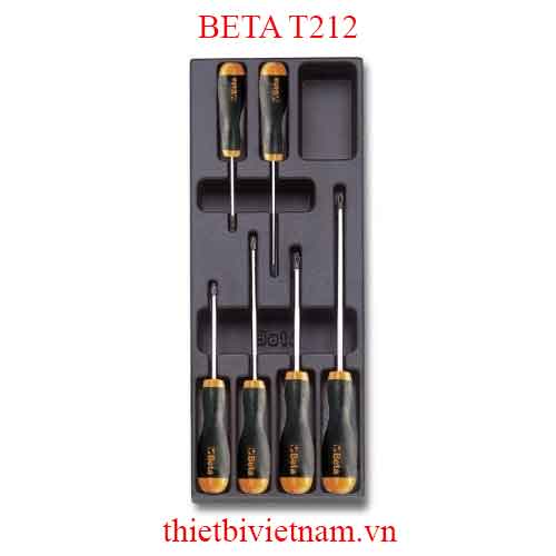 6 TOOLS IN THERMOFORMED BETA MODEL T212