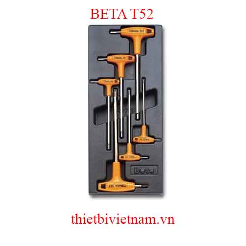 6 TOOLS IN THERMOFORMED BETA MODEL T52