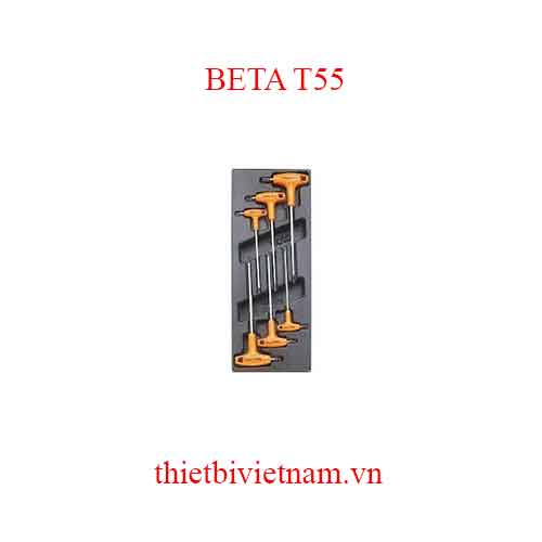 6 TOOLS IN THERMOFORMED BETA MODEL T55