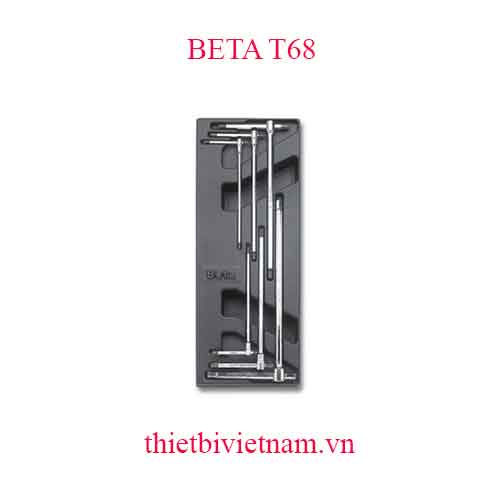 6 TOOLS IN THERMOFORMED BETA MODEL T68