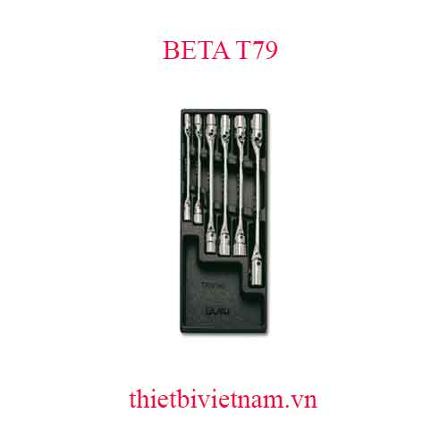 6 TOOLS IN THERMOFORMED BETA MODEL T79