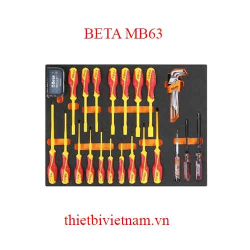 60 TOOLS IN SOFT THERMOFORMED BETA MODEL MB63