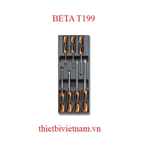 7 TOOLS IN THERMOFORMED BETA MODEL T199