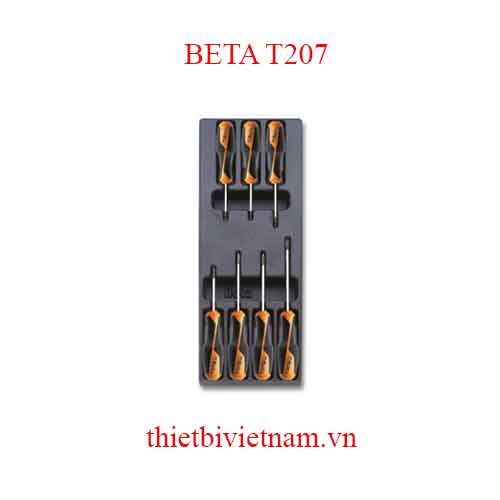 7 TOOLS IN THERMOFORMED BETA MODEL T207