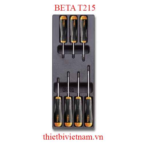 7 TOOLS IN THERMOFORMED BETA MODEL T215