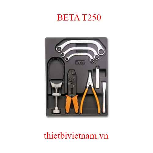8 TOOLS IN THERMOFORMED BETA MODEL T250