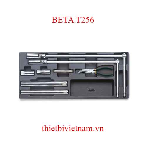 8 TOOLS IN THERMOFORMED BETA MODEL T256