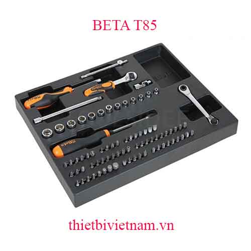 81 TOOLS IN THERMOFORMED BETA MODEL T85