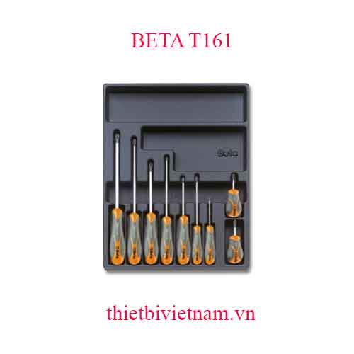 9 TOOLS IN THERMOFORMED BETA MODEL T161