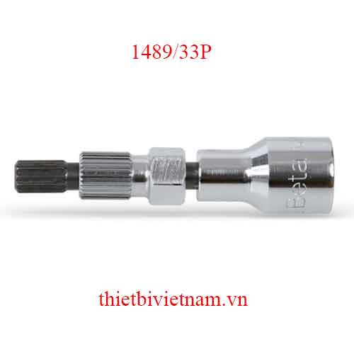 ALTERNAT. PULLEY FREE WHEEL WR BETA MODEL 1489/33P