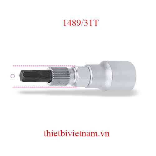 ALTERNATOR PULLEY FREE WHEEL WR BETA MODEL 1489/31T