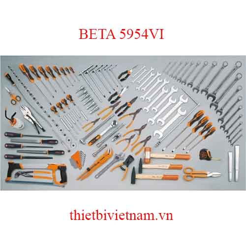 ASSORTMENT OF 115 TOOLS BETA MODEL 5954VI