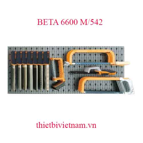 ASSORTMENT OF 53 TOOLS BETA MODEL 6600 M/542