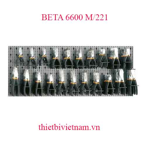 ASSORTMENT OF 83 TOOLS BETA MODEL 6600 M/221