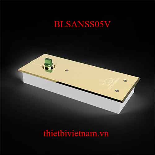 Bản lề sàn Huy Hoàng SS05 Vàng 300kg BLSANSS05V