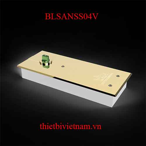 Bản lề sàn Huy Hoàng Vàng 180kg BLSANSS04V
