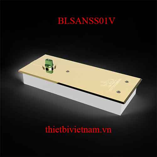 Bản lề sàn Huy Hoàng Vàng 90kg BLSANSS01V