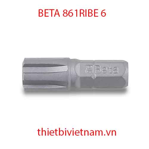 Bộ 10 chiếc BITS FOR RIBE® SCREWS BETA MODEL 861RIBE 6