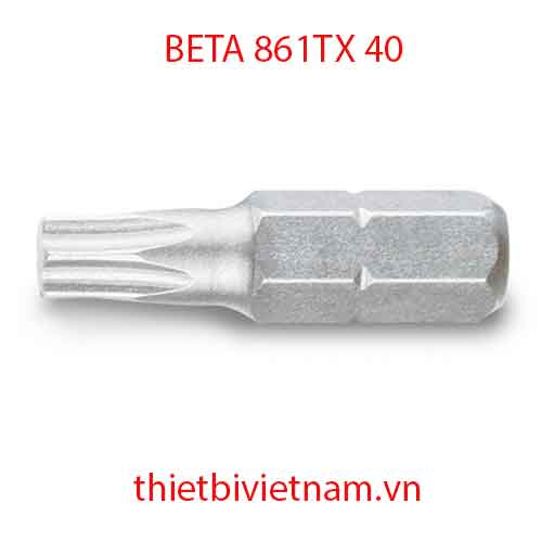Bộ 10 chiếc BITS FOR TORX® HEAD SCREWS BETA MODEL 861TX 40