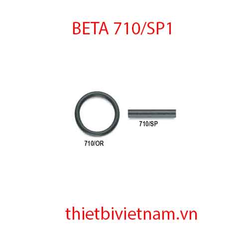 Bộ 10 chiếc LOCKING PINS FOR IMPACT SOCKETS BETA MODEL 710/SP1