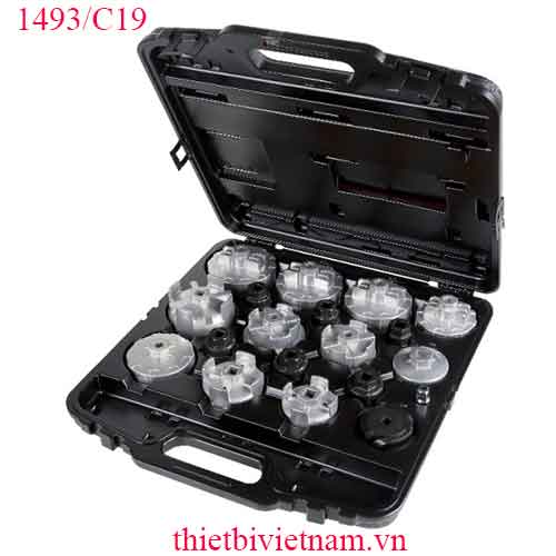 Bộ 18 cờ lê lọc nhớt, đặc biệt phù hợp với các dòng xe Châu Á BETA MODEL 1493/C19