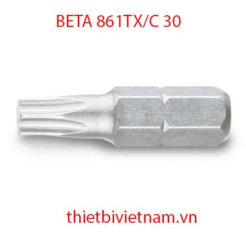 Bộ 200 chiếc BITS FOR TORX® HEAD SCREWS BETA MODEL 861TX/C 30