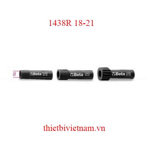 Bộ 5 chiếc 21-SPARE EXPANS. MANDRELS 1438 BETA MODEL 1438R 18-21