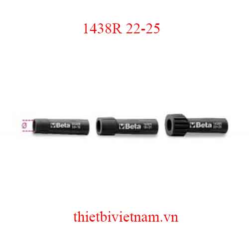 Bộ 5 chiếc 25-SPARE EXPANS. MANDRELS 1438 BETA MODEL 1438R 22-25