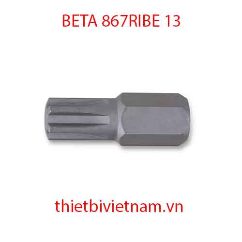 Bộ 5 chiếc BITS FOR RIBE® SCREWS BETA MODEL 867RIBE 13