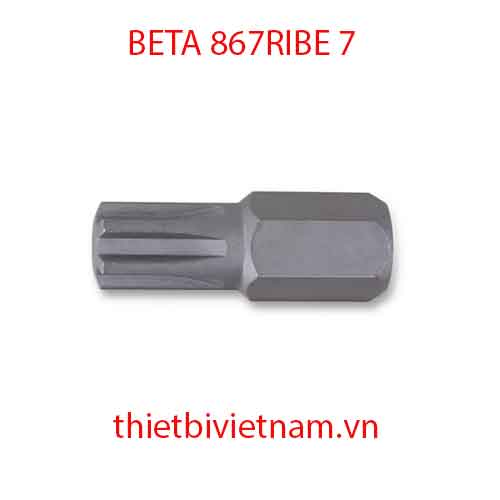 Bộ 5 chiếc BITS FOR RIBE® SCREWS BETA MODEL 867RIBE 7