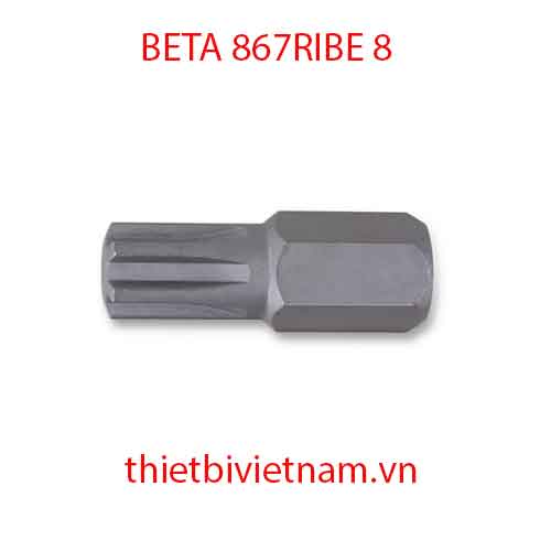Bộ 5 chiếc BITS FOR RIBE® SCREWS BETA MODEL 867RIBE 8
