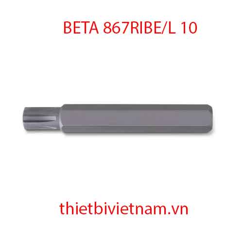 Bộ 5 chiếc BITS FOR RIBE® SCREWS BETA MODEL 867RIBE/L 10