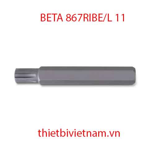 Bộ 5 chiếc BITS FOR RIBE® SCREWS BETA MODEL 867RIBE/L 11