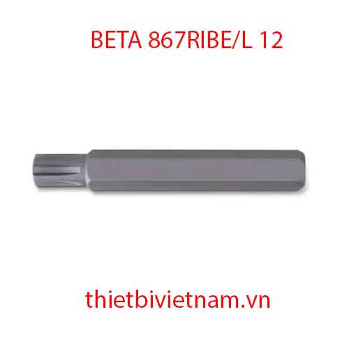 Bộ 5 chiếc BITS FOR RIBE® SCREWS BETA MODEL 867RIBE/L 12
