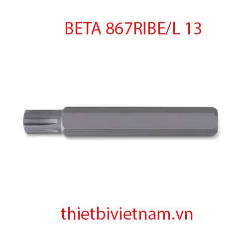 Bộ 5 chiếc BITS FOR RIBE® SCREWS BETA MODEL 867RIBE/L 13