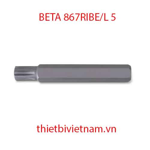 Bộ 5 chiếc BITS FOR RIBE® SCREWS BETA MODEL 867RIBE/L 5