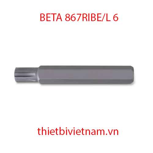 Bộ 5 chiếc BITS FOR RIBE® SCREWS BETA MODEL 867RIBE/L 6