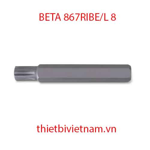 Bộ 5 chiếc BITS FOR RIBE® SCREWS BETA MODEL 867RIBE/L 8