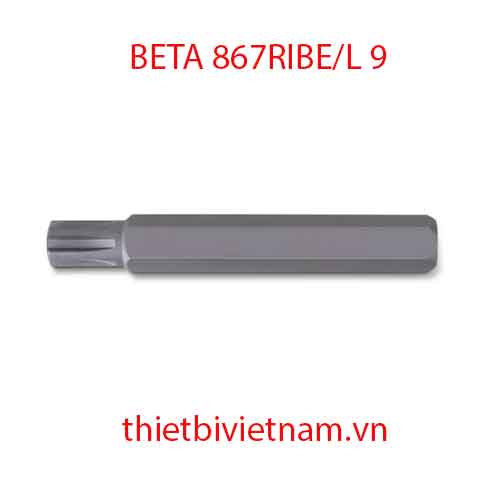 Bộ 5 chiếc BITS FOR RIBE® SCREWS BETA MODEL 867RIBE/L 9