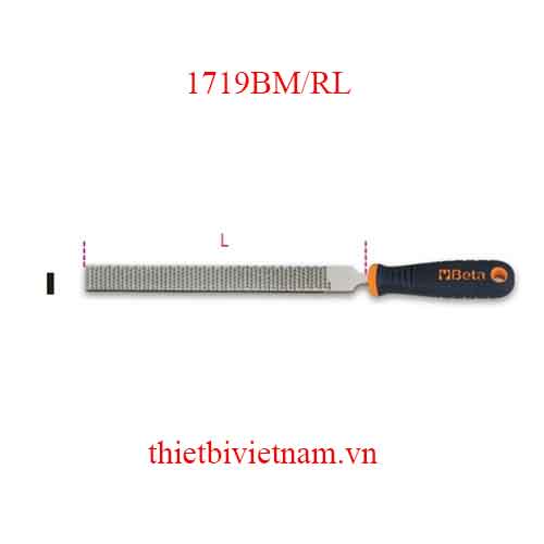 Bộ 5 chiếc FLAT RASP FILE BIMATERIAL BETA MODEL 1719BM/RL