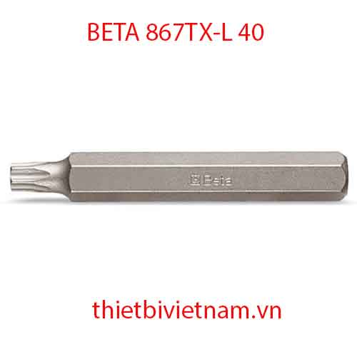 Bộ 5 chiếc L 40-BITS FOR TORX® HEAD SCREWS BETA MODEL 867TX-L 40