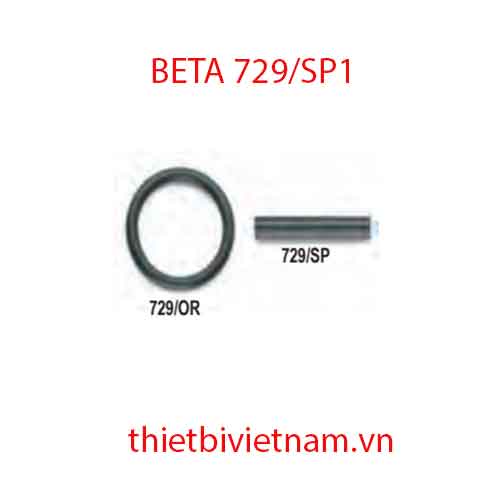 Bộ 5 chiếc LOCKING PINS FOR IMPACT SOCKETS BETA MODEL 729/SP1