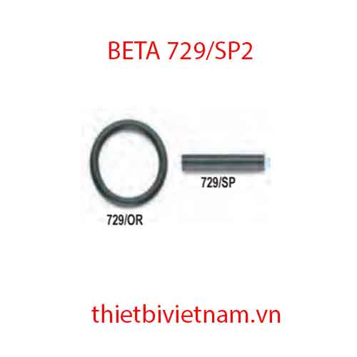 Bộ 5 chiếc LOCKING PINS FOR IMPACT SOCKETS BETA MODEL 729/SP2