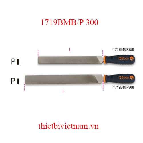 Bộ 5 chiếc UNIVERSAL CUT FLAT FILES BETA MODEL 1719BMB/P 300