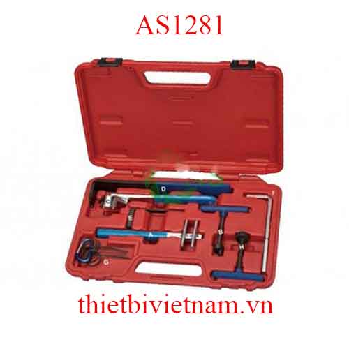 Bộ cân cam Alfa Romeo Fiat Citroen Peugeot Renault Volkswagen AS1281