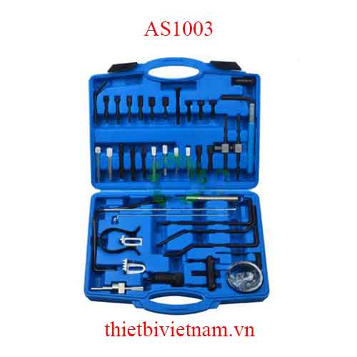 Bộ cân cam Citroen Peugeot AS1003