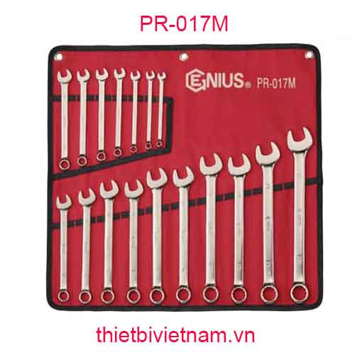 BỘ CỜ LÊ ĐẦU MỞ ĐẦU TRÒNG LOẠI BÓNG GỒM 17 CHIẾC HỆ MÉT GENIUS PR-017M